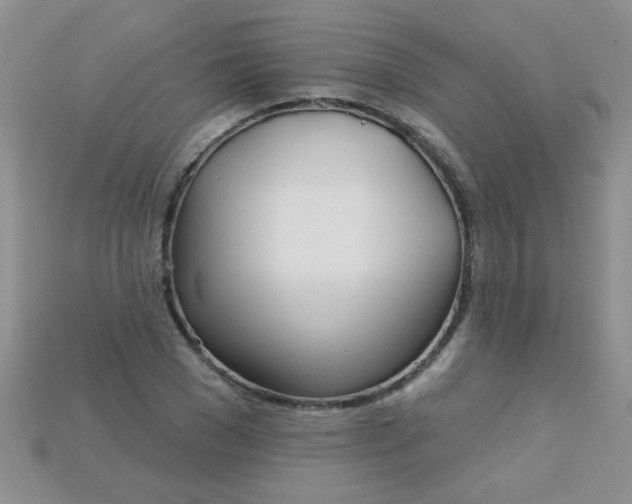 X0000115220977200911121921