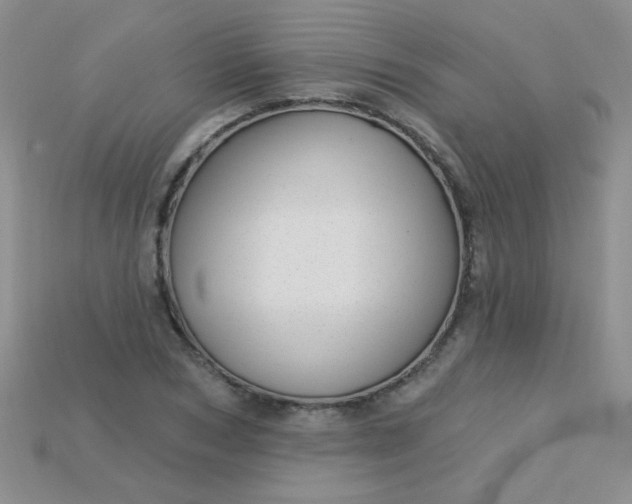 X0000115220978200911121921