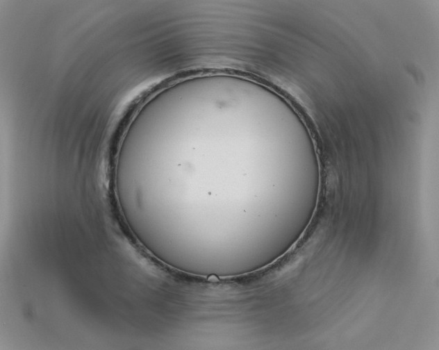 X0000115220979200911121921