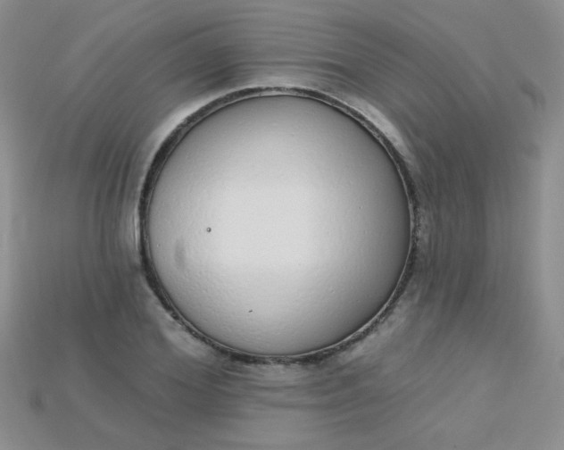 X0000115220980200911121921