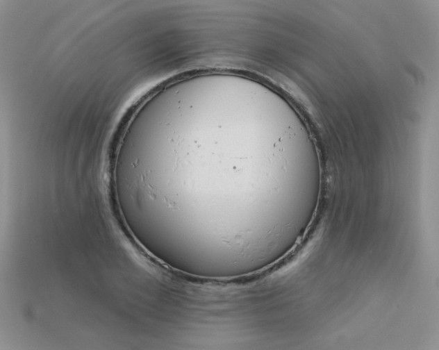 X0000115220981200911121921