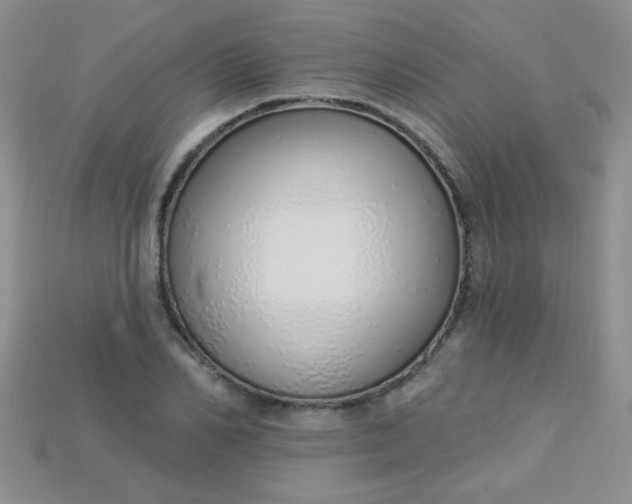 X0000115220982200911121921