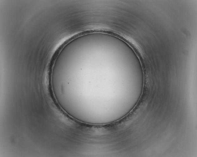 X0000115220983200911121921