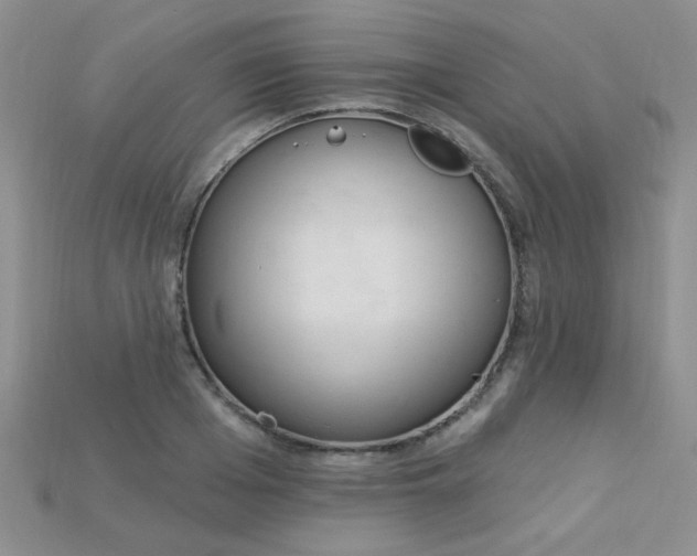 X0000115220985200911121921