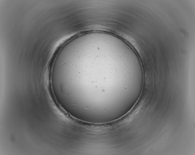 X0000115220987200911121921