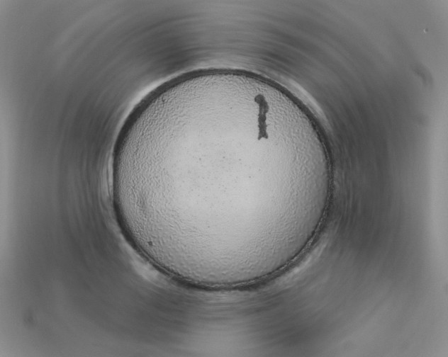 X0000115220988200911121921