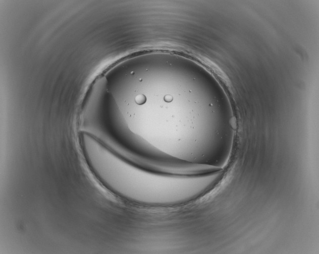 X0000115220989200911121921