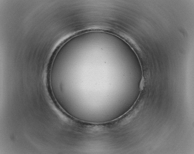 X0000115220991200911121921