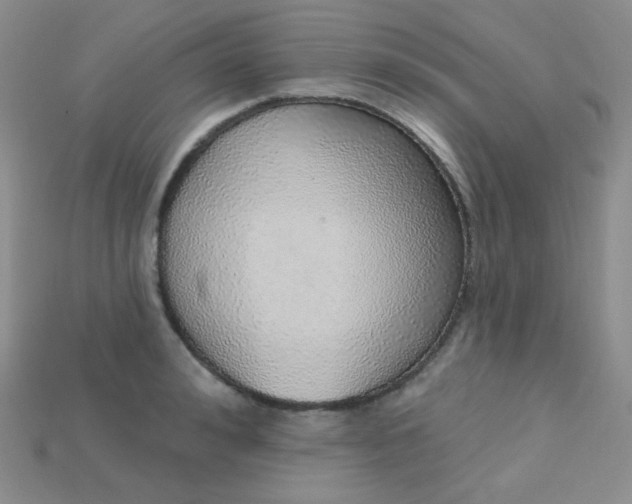 X0000115220992200911121921