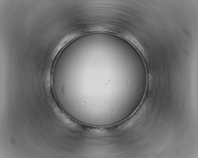 X0000115220994200911121921