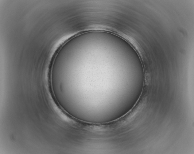 X0000115220995200911121921