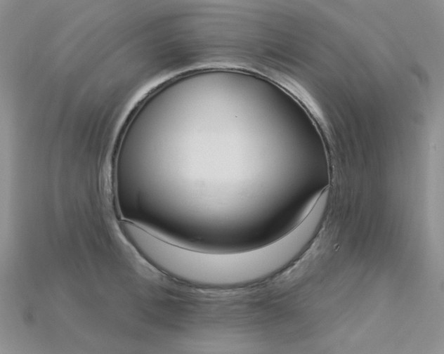 X0000115220996200911121921