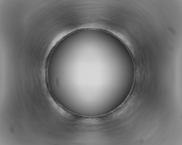 X0000115220998200911121921