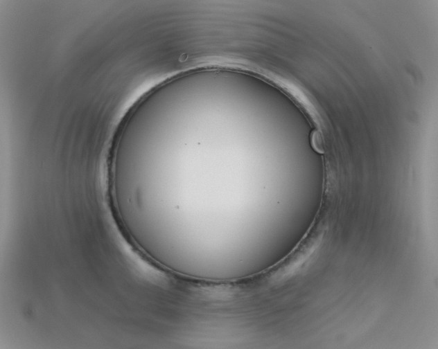 X0000115220999200911121921