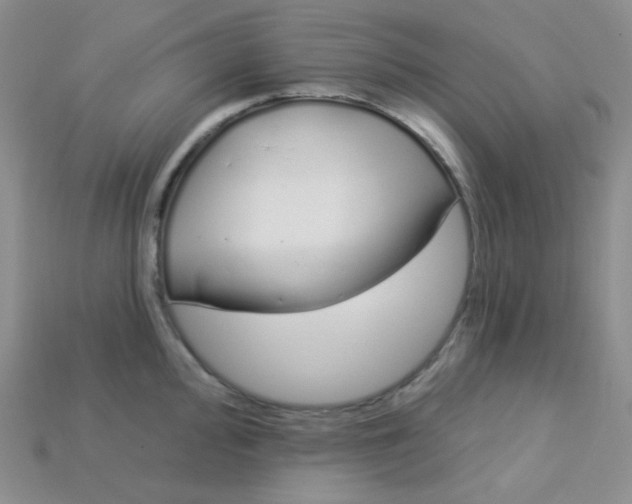 X0000115221000200911121921