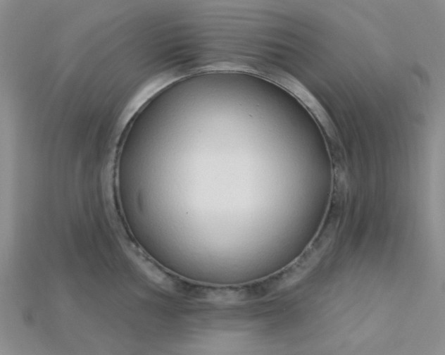 X0000115221002200911121921