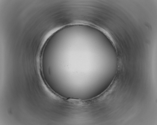 X0000115221003200911121921