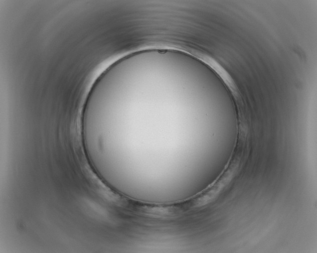X0000115221004200911121921
