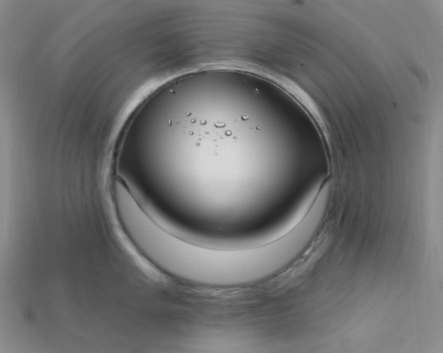 X0000115221005200911121921