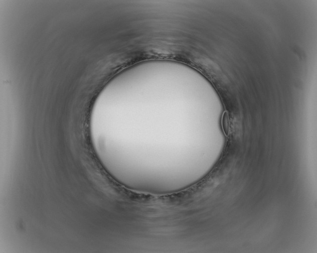 X0000115221009200911121920
