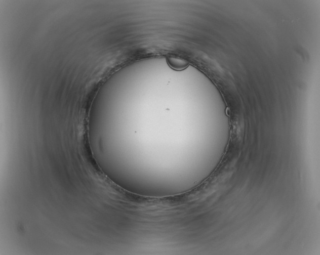 X0000115221012200911121920