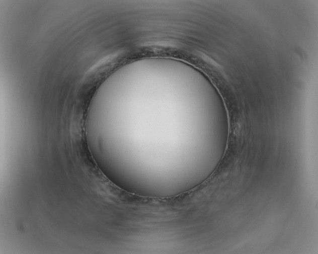 X0000115221014200911121920