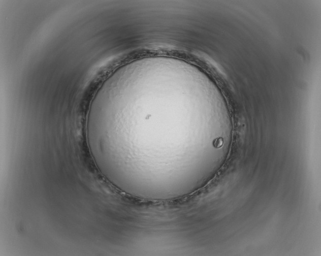 X0000115221016200911121920