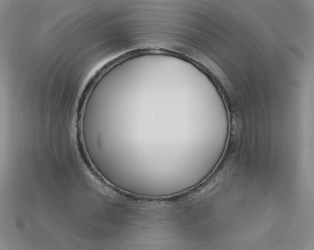 X0000115221020200911121920