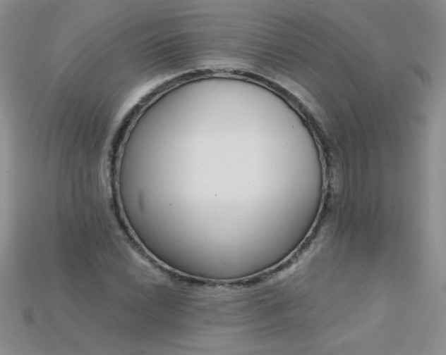 X0000115221022200911121920