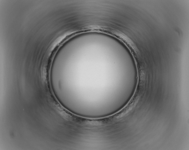 X0000115221023200911121920