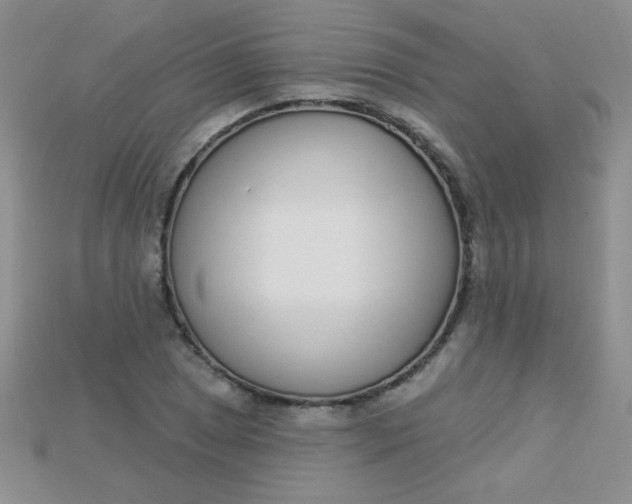 X0000115221025200911121920