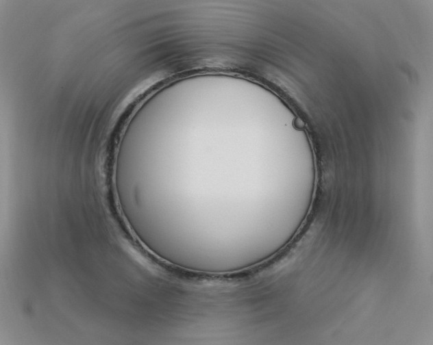 X0000115221026200911121920