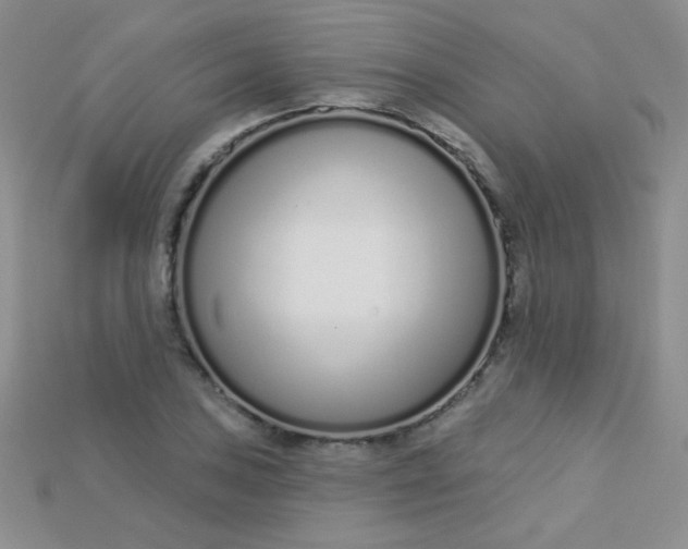 X0000115221027200911121920