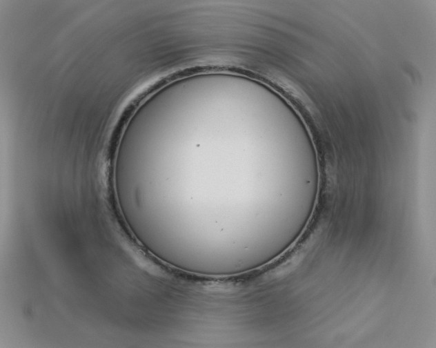 X0000115221029200911121920