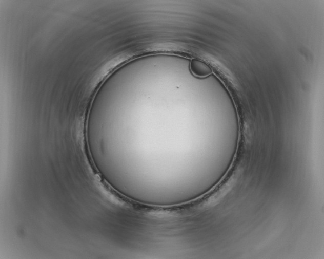 X0000115221033200911121920