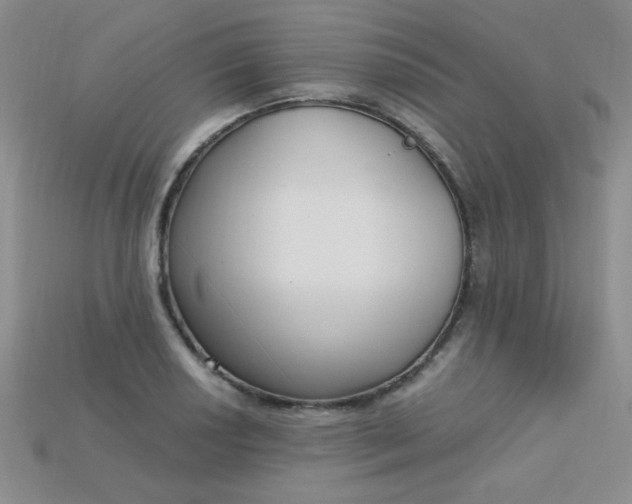X0000115221034200911121920