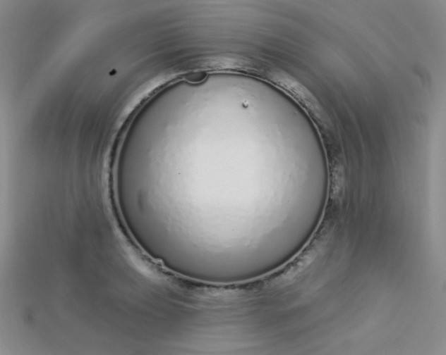 X0000115221039200911121920