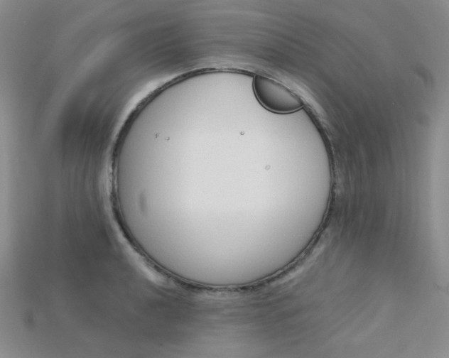 X0000115221040200911121920