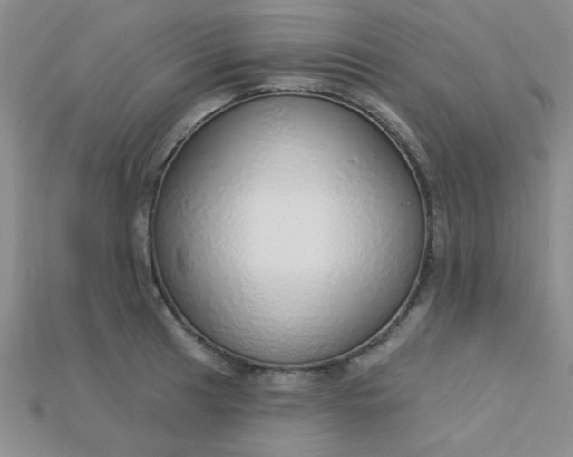 X0000115221041200911121921
