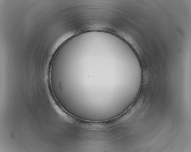 X0000115221042200911121921