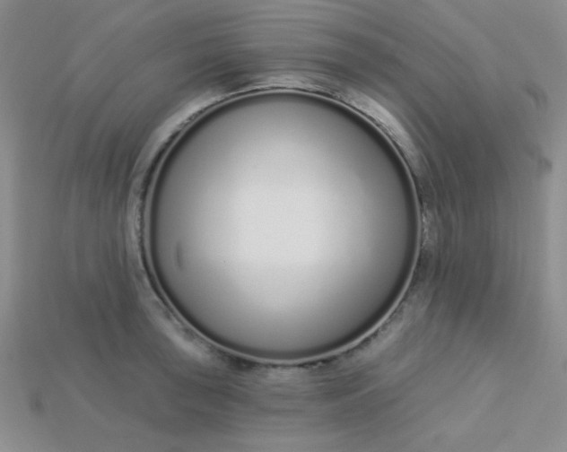 X0000115221043200911121921