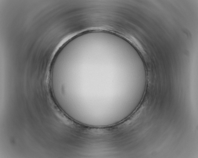 X0000115221044200911121921