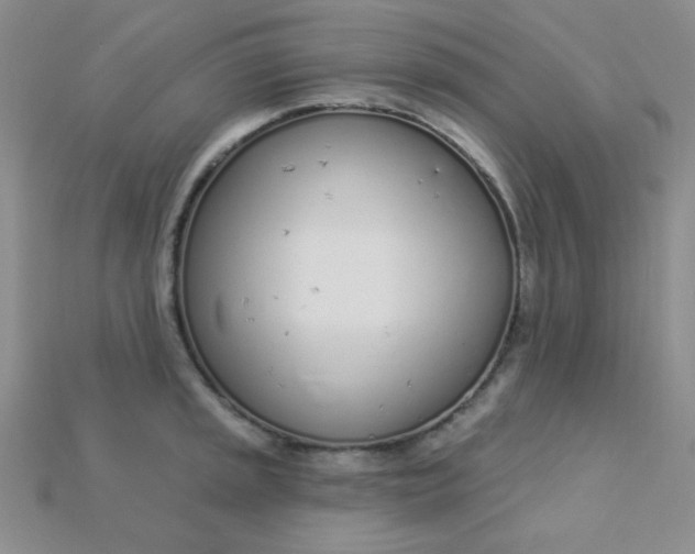X0000115221045200911121921