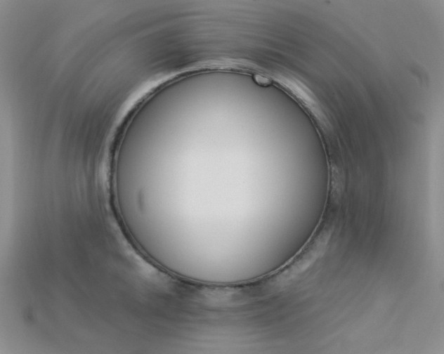 X0000115221046200911121921