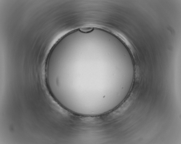 X0000115221048200911121921