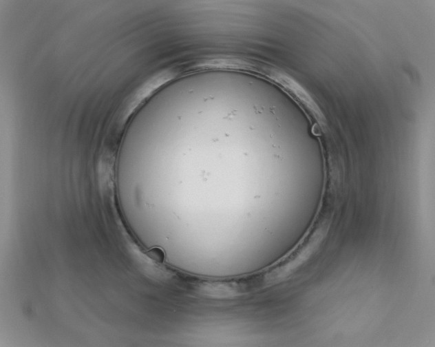 X0000115221049200911121921