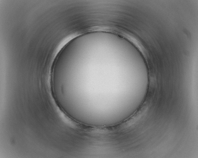 X0000115221050200911121921