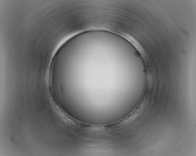 X0000115221052200911121921