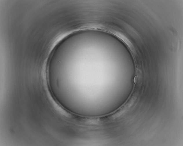 X0000115221055200911121921