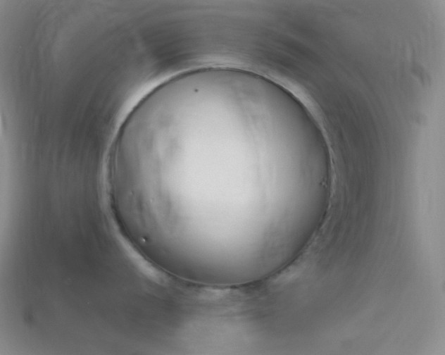 X0000115221056200911121921